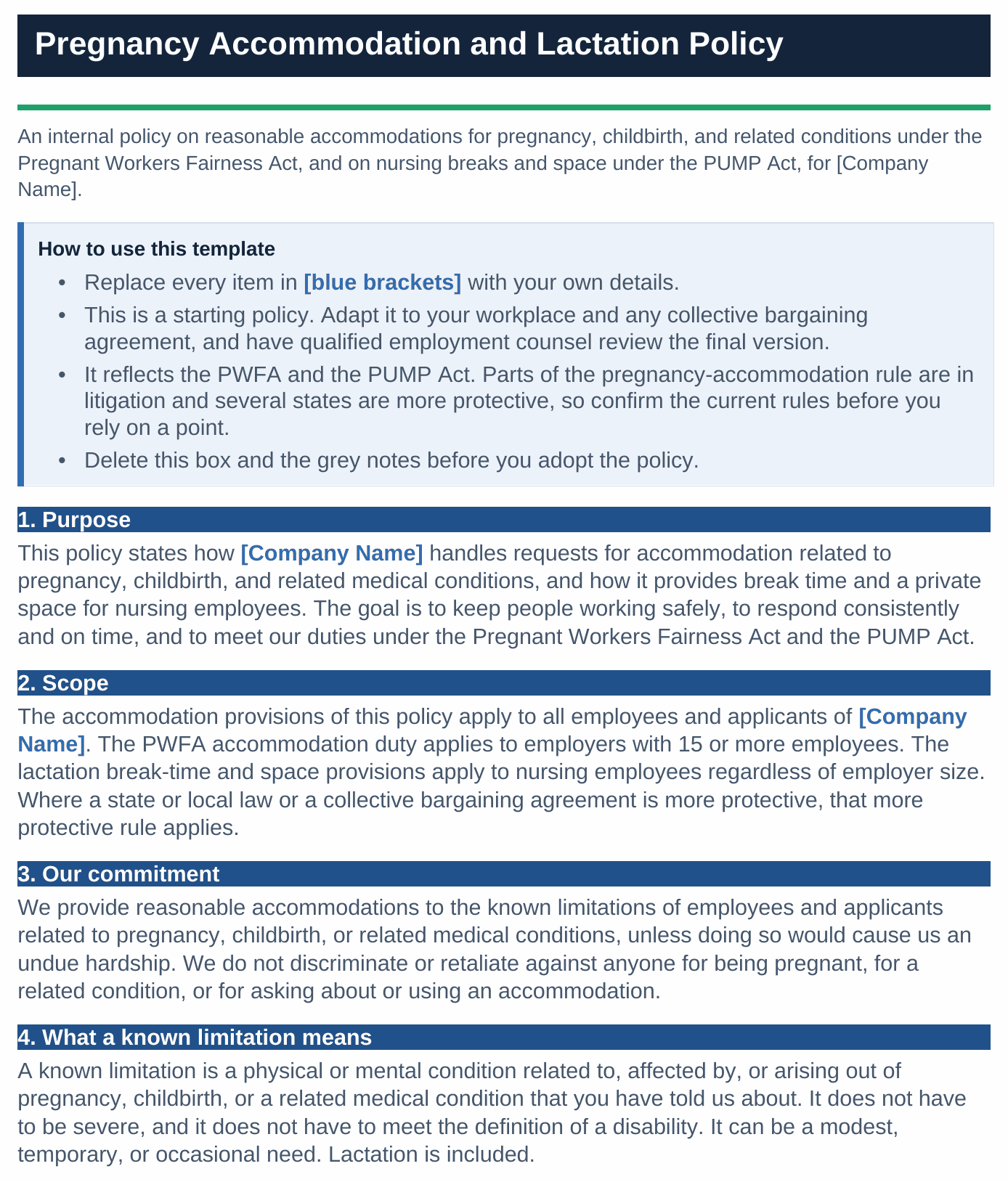 Page one of the Pregnancy Accommodation and Lactation Policy template: a how-to-use note, then the first four sections covering purpose, scope with the 15-employee PWFA threshold and the all-sizes PUMP duty, the commitment to accommodate without retaliation, and what a known limitation means